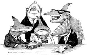 Lawyer Sharks